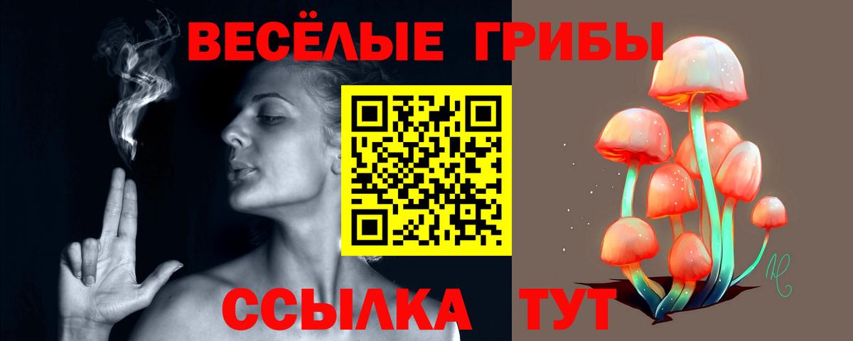 Псилоцибиновые грибы Psilocybine cubensis Зеленодольск